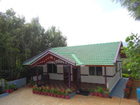 Bellichukki Homestay, Chikmagalur